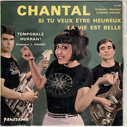 1960s Chantal single French Fasan Klira guitars 18x18cm - 19euro!
