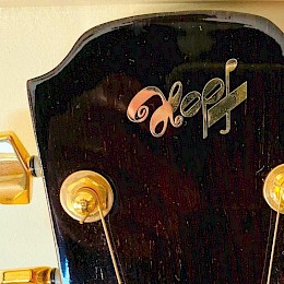 vintage_1960s_hopf_guitar_bass_logo_made_in_germany 3